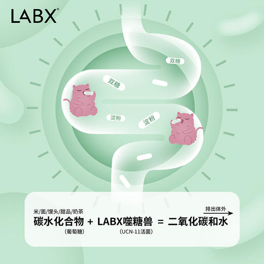 【夏日瘦身好助手】LABX噬糖兽 燃糖活菌益生菌原液 10ml*12支/盒 商品图2