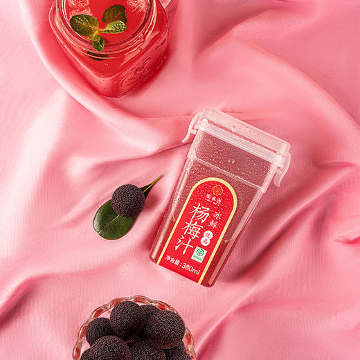 陶奉源冰杨梅汁380ml*6 纯果汁网红饮品酸梅汁 商品图3
