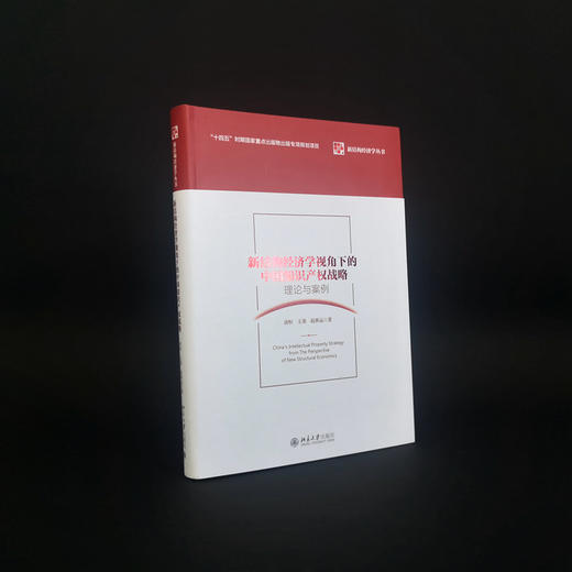 新结构经济学视角下的中国知识产权战略：理论与案例 唐恒 王勇 赵秋运 北京大学出版社 商品图2