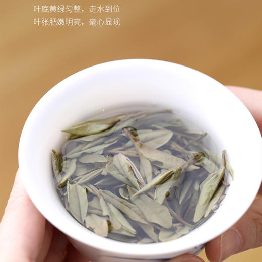 【食品酒水】泰美茶镇 福鼎白茶白牡丹小圆罐装40克茶叶 商品图4