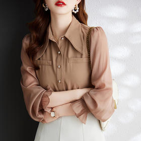 时尚洋气，网纱灯笼袖衬衫女春秋设计感小众长袖职业装女上衣MGG-Q6676