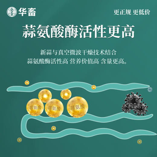 【积分兑换】华畜兽用 浓缩大蒜粉 每桶20斤 蒜香浓郁更诱食 多糖含量更高 禽畜水产通用饲料添加剂 商品图2