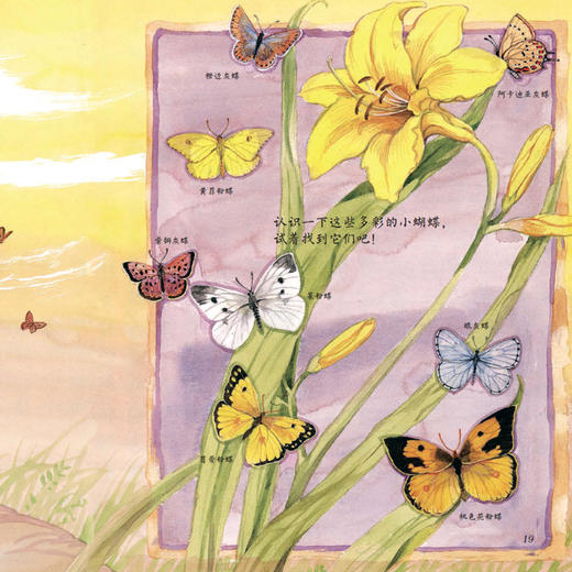 《森林爷爷自然课》(全12册) 商品图3