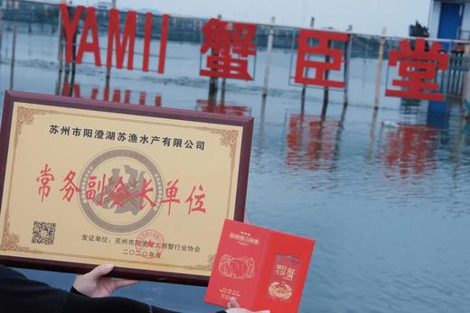 蟹卡-面值2288型 商品图2