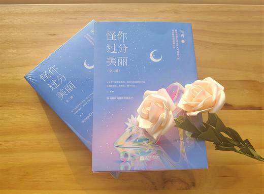 (仓发) 怪你过分美丽（秦岚、高以翔、王子异主演）（全2册）/江苏凤凰文艺出版社/未再/9787559403254 商品图3