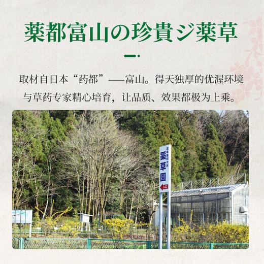 《喜迎中秋 阖家团圆》【调胃肠、清口气】日本原装进囗，解决口气根源：排毐、降火，口含草木清香！传承古方 天然原材 匠心手作 商品图9