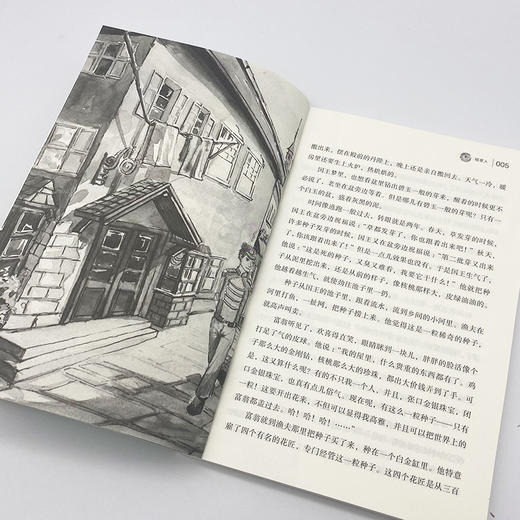 稻草人  商品图0