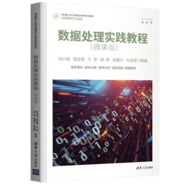 数据处理实践教程（微课版）（面向新工科专业建设计算机系列教材）