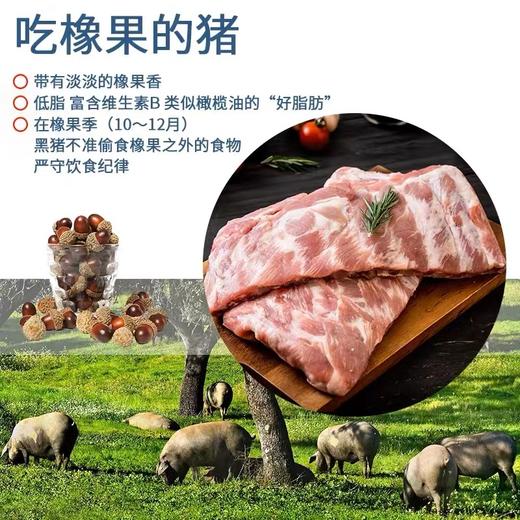 【3包】大黄鲜森伊比利亚黑猪肋排进口冷冻新鲜猪排骨500g A-3349 商品图2