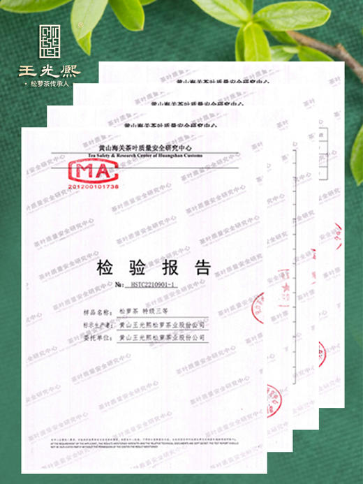 绿茶2025新茶特级高山茶浓香型松萝茶250g金罐茶叶伴手礼送礼长辈 商品图5