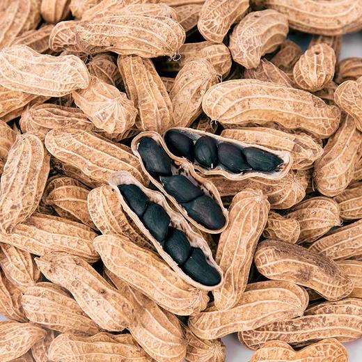 云南夕阳野地黑花生 高原生长，圆润饱满，清甜回甘，高花青素的“植物精肉” 商品图2