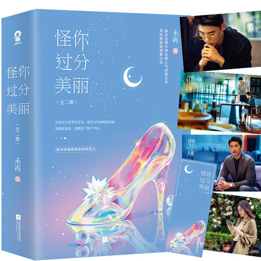 (仓发) 怪你过分美丽（秦岚、高以翔、王子异主演）（全2册）/江苏凤凰文艺出版社/未再/9787559403254 商品图1