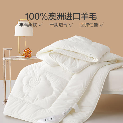 水星集团出品 百丽丝BLISS 澳洲进口羊毛 春秋被 冬被 商品图2