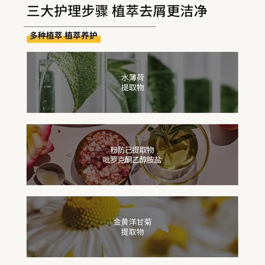 去屑止痒  控油蓬松   摇滚动物园洗发水 商品图6