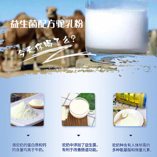 美盾益生菌驼奶粉/阿胶红枣蛋白粉  奶香浓郁  成人补充蛋白质 商品图2