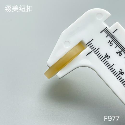 F977(整包购买) 商品图6