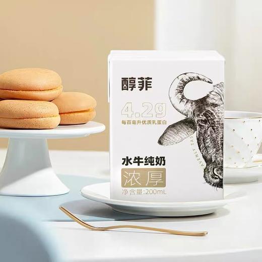 百菲酪4.2g蛋白质醇菲水牛纯奶200ml*10盒儿 商品图5