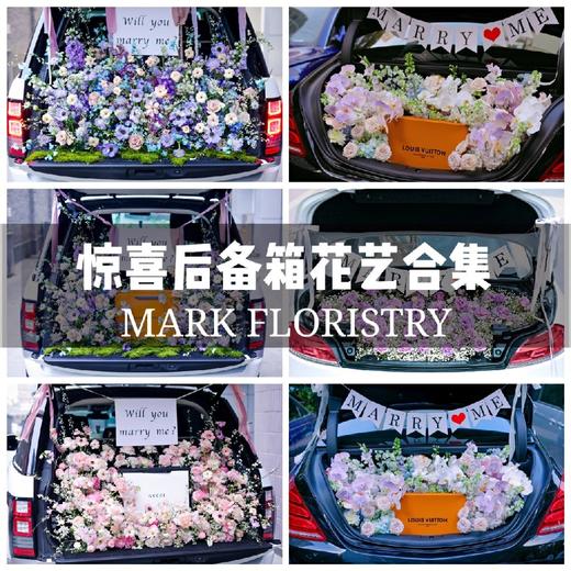 高级感惊喜suv后备箱，宠物自带 商品图0