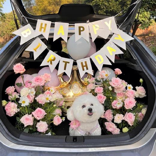 《卡哇伊》惊喜后备箱，宠物自带 商品图4