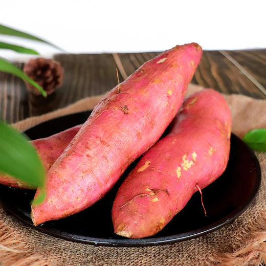 【好物推荐】山东冰糖白玉蜜薯 4.5斤 商品图4