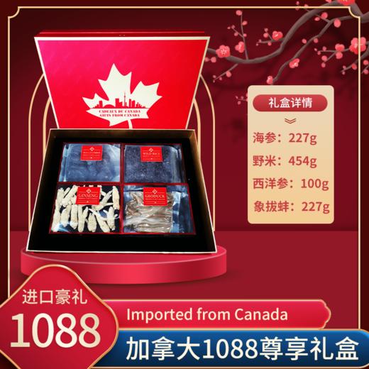 加拿大1088型干货尊享礼盒 海参:227g  野米:454g  西洋参:100g  象拔蚌:227g（跨境） 商品图6
