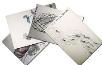 花鸟小片-齐白石 含框 商品图0