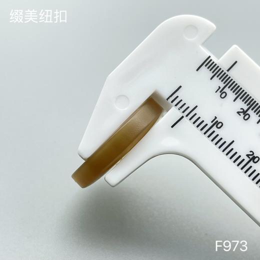 F973(整包购买) 商品图6