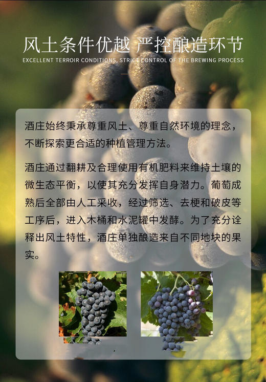 法国-1789干红葡萄酒-VCE级别-法国原瓶进口 商品图2