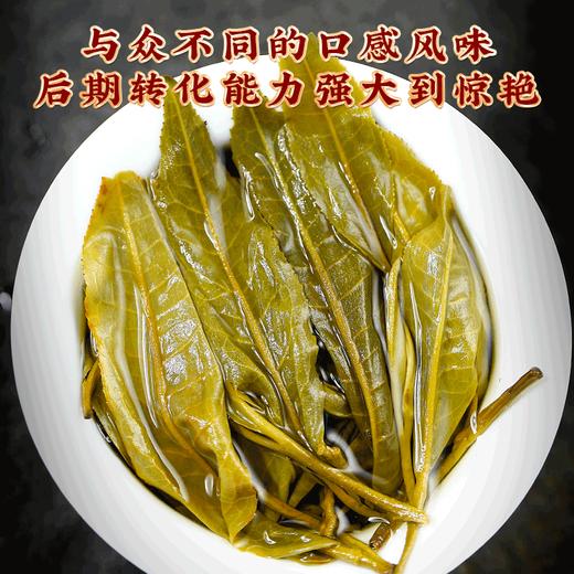吉顺号普洱茶2022年古600黑票昔归临沧云南古树普洱茶生茶饼357g/饼 商品图4