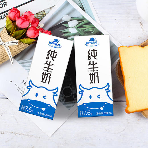 皇氏乳业神气水牛纯牛奶  纯正广西奶水牛  冷冻更好喝 商品图3