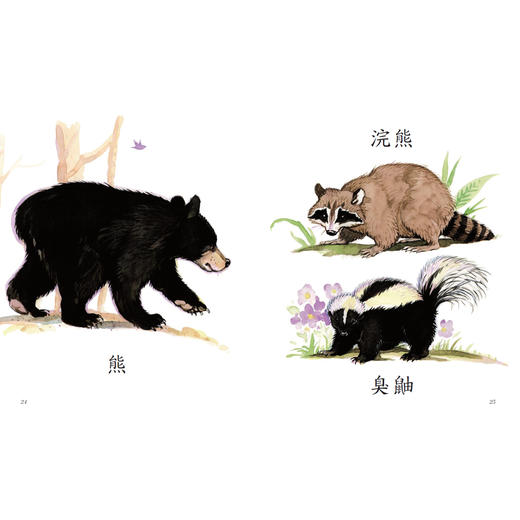 《森林爷爷自然课》(全12册) 商品图12