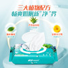 小植家专用湿厕纸  抽取式抑菌  便携旅行装  40片/包 商品缩略图1