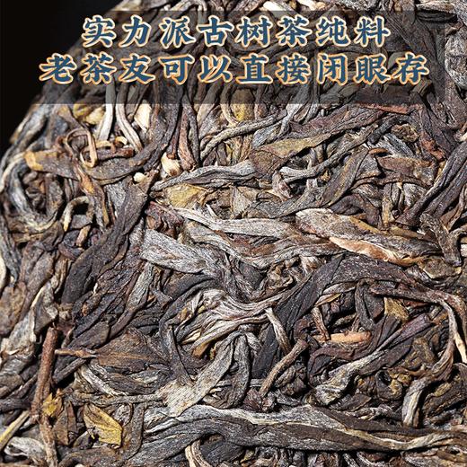 吉顺号普洱茶2022年古树茶500年树龄 滑竹梁子《蓝票》普洱生茶饼357克/饼 商品图3