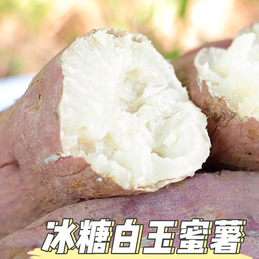 【好物推荐】山东冰糖白玉蜜薯 4.5斤 商品图0