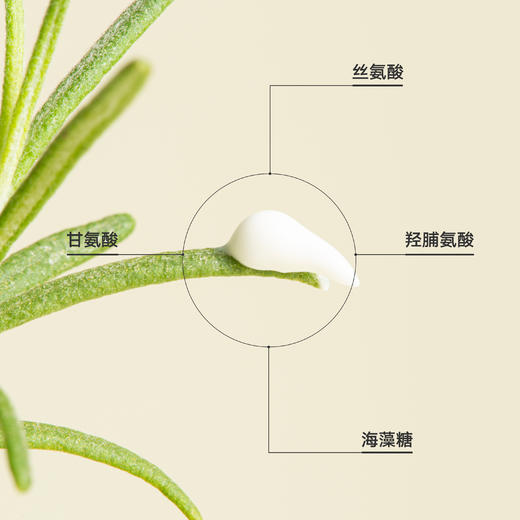 自然之境精油护手霜|精油护手 滋润不粘腻 商品图4