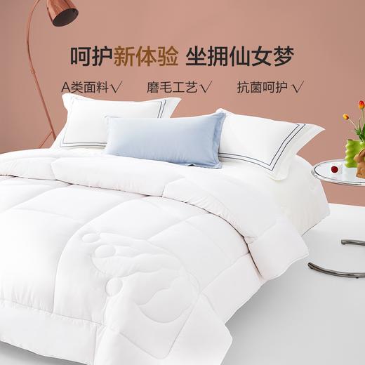 百丽丝家纺 大豆纤维亲肤抗菌春秋/冬被 轻盈保暖 水星集团出品 商品图1