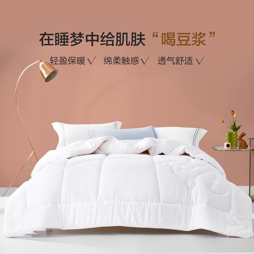 百丽丝家纺 大豆纤维亲肤抗菌春秋/冬被 轻盈保暖 水星集团出品 商品图3