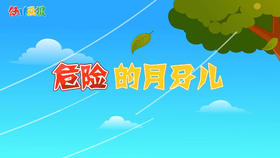 2022年10月 动画  危险的月牙