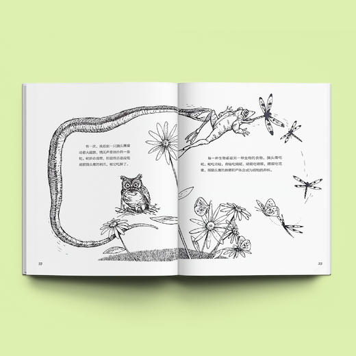 《森林爷爷自然课》(全12册) 商品图14