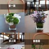 商务简约高级瓶插花 商品缩略图2