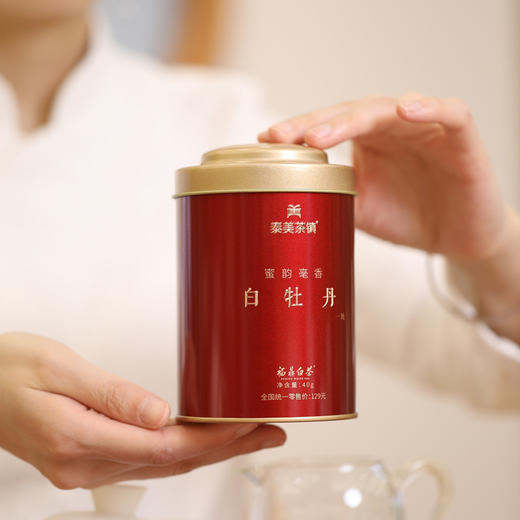 【食品酒水】泰美茶镇 福鼎白茶白牡丹小圆罐装40克茶叶 商品图1