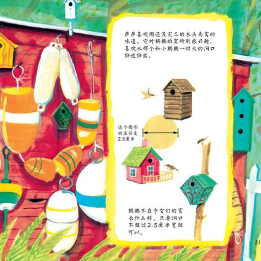 《森林爷爷自然课》(全12册) 商品图10