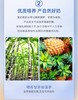 百菲酪4.2g蛋白质醇菲水牛纯奶200ml*10盒儿 商品缩略图2