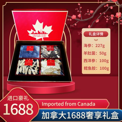 加拿大3888型干货尊享礼盒 海参:227g  羊肚菌:50g  西洋参:100g  鳕鱼胶:100g（跨境） 商品图5