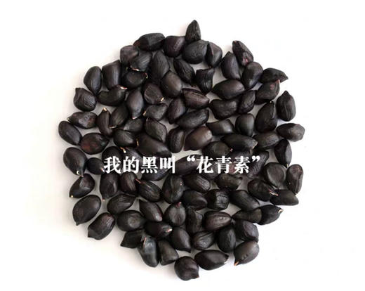 云南夕阳野地黑花生 高原生长，圆润饱满，清甜回甘，高花青素的“植物精肉” 商品图3