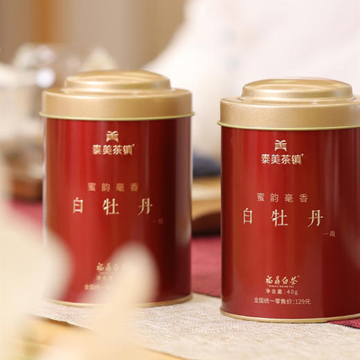 【食品酒水】泰美茶镇 福鼎白茶白牡丹小圆罐装40克茶叶 商品图0
