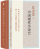 中国现代小说史 商品缩略图0