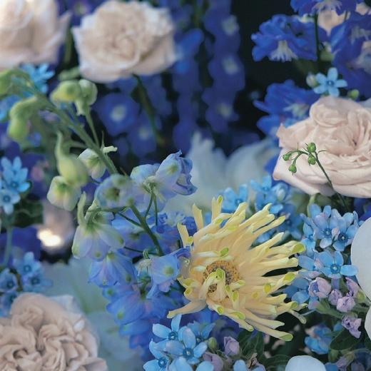 《飞燕》高级浪漫紫色系惊喜后备箱-包含蝴蝶兰手捧花 商品图4