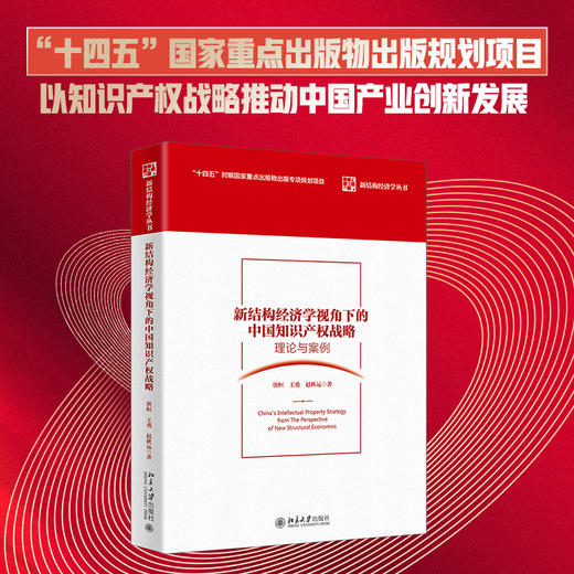 新结构经济学视角下的中国知识产权战略：理论与案例 唐恒 王勇 赵秋运 北京大学出版社 商品图1