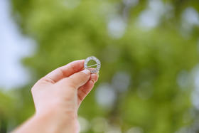 森林圆圈日纪念徽章*海莲